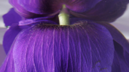 Similar image 22407625