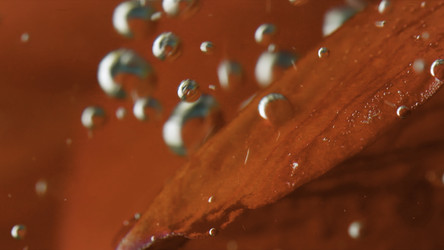 Similar image 22407639