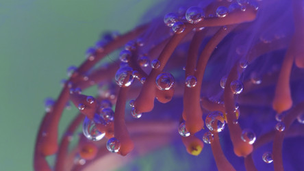 Similar image 22407655