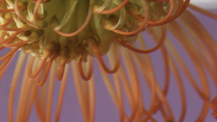 Similar image 22407669