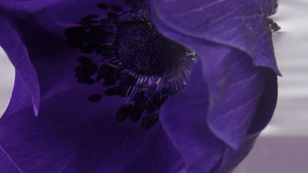 Similar image 22407700