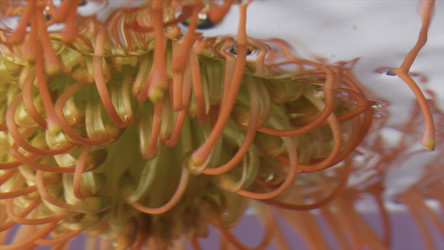 Similar image 22407730