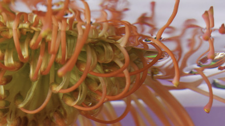 Similar image 22407774