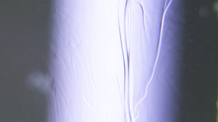 Similar image 22407817