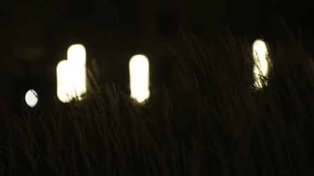 Similar image 22407818