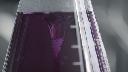 Similar image 22407850