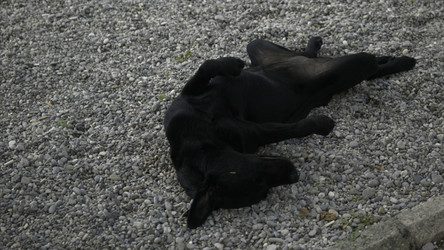 Similar image 22407893