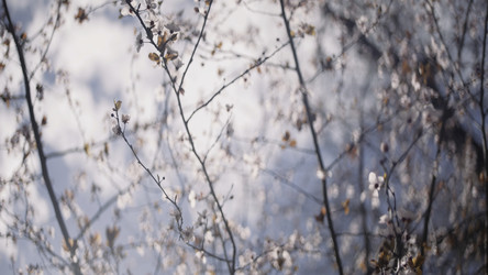 Similar image 22407985