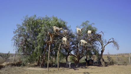 Similar image 22407986