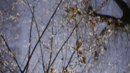 Similar image 22408045