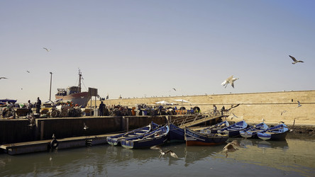 Similar image 22408060