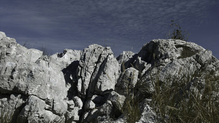 Similar image 22400918