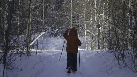 Similar image 22405872