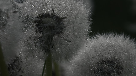 Similar image 22406064