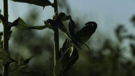 Similar image 22406216