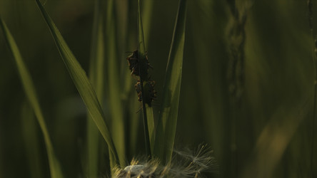 Similar image 22406291