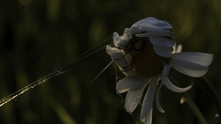 Similar image 22406352