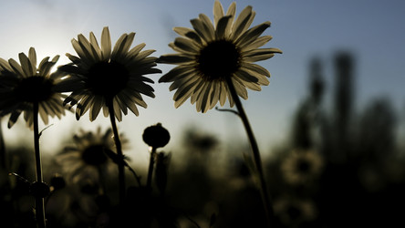 Similar image 22406562