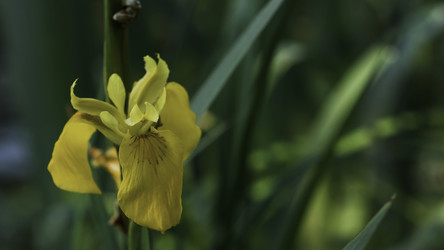 Similar image 22406802