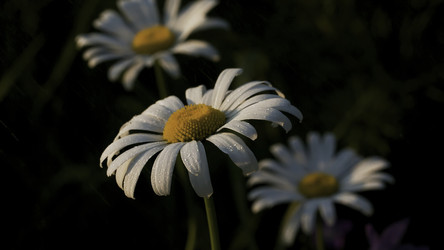 Similar image 22406939