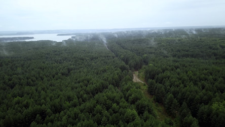 Similar image 22407208