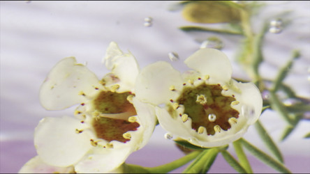 Similar image 22407746