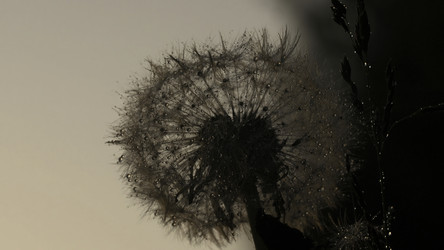 Similar image 22407958