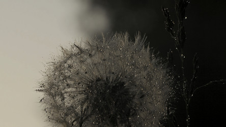 Similar image 22408046