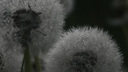 Similar image 22408106