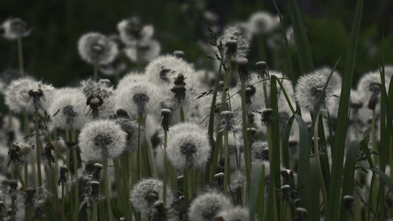 Similar image 22408135