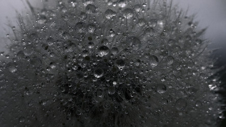 Similar image 22408178