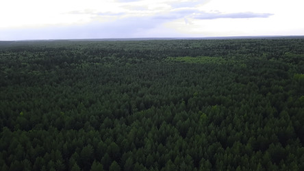 Similar image 22410025