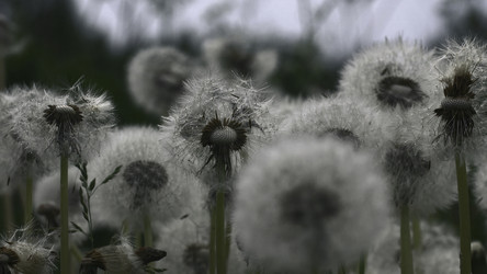 Similar image 22410026