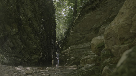 Similar image 22410040