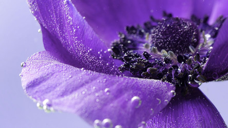 Similar image 22410055