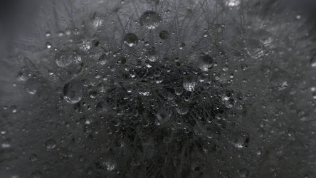 Similar image 22400891