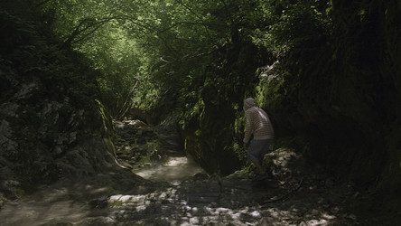 Similar image 22400903