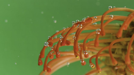 Similar image 22400919