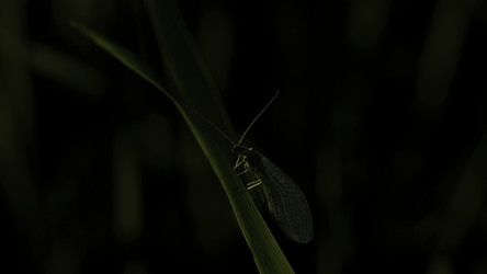 Similar image 22400948