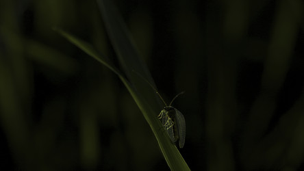 Similar image 22400981