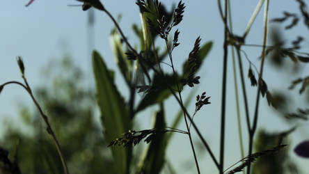 Similar image 22401039