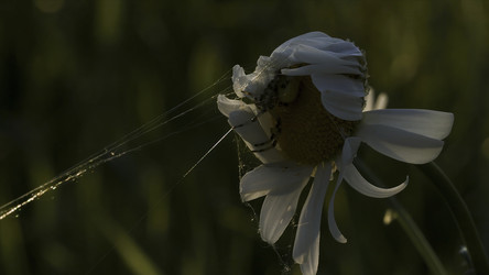 Similar image 22401098