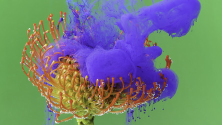 Similar image 22401145