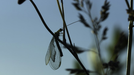 Similar image 22401170