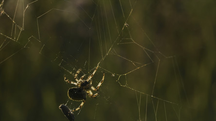 Similar image 22401218