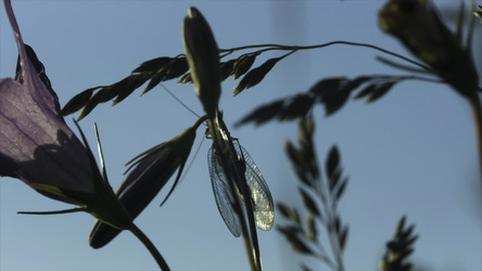 Similar image 22402084