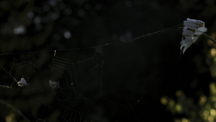 Similar image 22402529