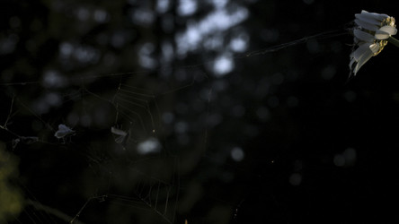 Similar image 22405587