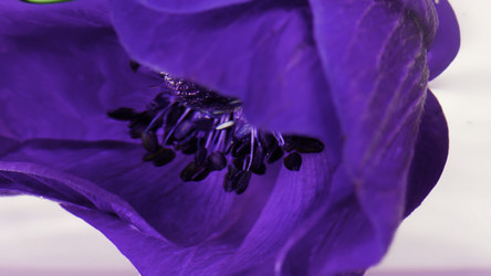 Similar image 22406292