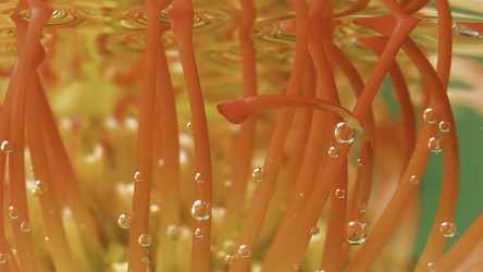 Similar image 22406339